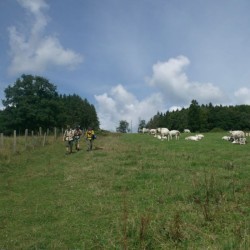 HPIM2071 - Scouts en Gidsen Zaventem 